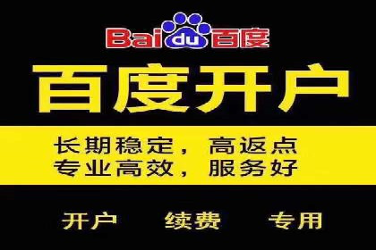 百度竞价广告的创意执行：成功案例详解